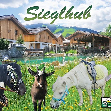 Sieglhub Chalets - Appartements - Hotel 플라차우 외부 사진