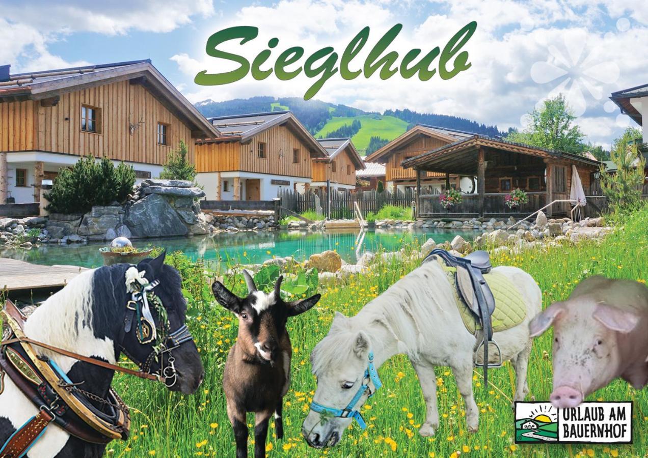 Sieglhub Chalets - Appartements - Hotel 플라차우 외부 사진